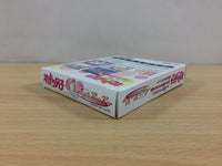 ub3507 Hana Yori Dango Another Love Story BOXED GameBoy Game Boy Japan