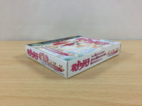 ub3507 Hana Yori Dango Another Love Story BOXED GameBoy Game Boy Japan