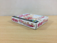 ub3507 Hana Yori Dango Another Love Story BOXED GameBoy Game Boy Japan