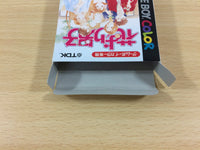 ub3507 Hana Yori Dango Another Love Story BOXED GameBoy Game Boy Japan