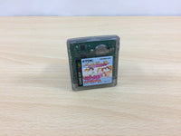 ub3507 Hana Yori Dango Another Love Story BOXED GameBoy Game Boy Japan