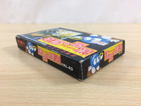 ud7560 Egger Land Meikyuu no Adventures of Lolo BOXED NES Famicom Japan