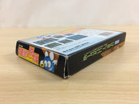 ud7560 Egger Land Meikyuu no Adventures of Lolo BOXED NES Famicom Japan