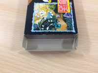 ud7560 Egger Land Meikyuu no Adventures of Lolo BOXED NES Famicom Japan