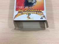 ub5165 Hiryu no Ken III 3 BOXED NES Famicom Japan