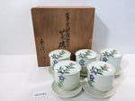 ob3257 Tea Cup and Saucer Set Ceramics Tableware Japan