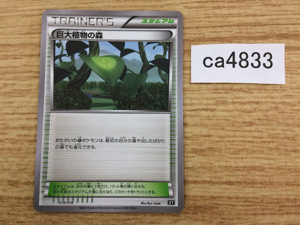 cc6839 Gengar EX GhostPoison PROMO PROMO 079/XY-P Pokemon Card TCG Jap –