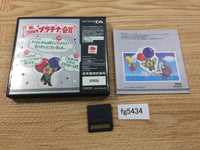 fg5434 Tingle's Balloon Fight BOXED Nintendo DS Japan