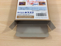 ud8088 Super Street Fighter II 2 BOXED SNES Super Famicom Japan