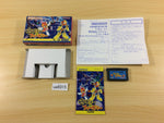 ua9315 Pinobee & Phoebee BOXED GameBoy Advance Japan