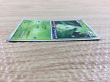 cc2715 Chikorita Grass - PROMO 005/L-P Pokemon Card TCG Japan