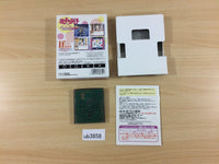 ub3858 Hana Yori Dango Another Love Story BOXED GameBoy Game Boy Japan