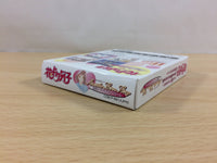 ub3858 Hana Yori Dango Another Love Story BOXED GameBoy Game Boy Japan