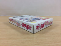 ub3858 Hana Yori Dango Another Love Story BOXED GameBoy Game Boy Japan