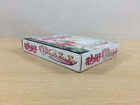 ub3858 Hana Yori Dango Another Love Story BOXED GameBoy Game Boy Japan