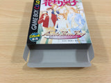 ub3858 Hana Yori Dango Another Love Story BOXED GameBoy Game Boy Japan