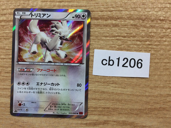 Pokemon Card XY – Page 31 – J4U.co.jp