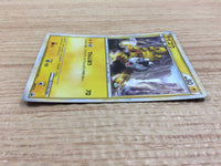 ca8783 Raikou Electric PROMO 061/L-P Pokemon Card TCG Japan