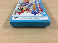 ub1790 Rock Board Wily & Right Rockman Megaman BOXED NES Famicom Japan