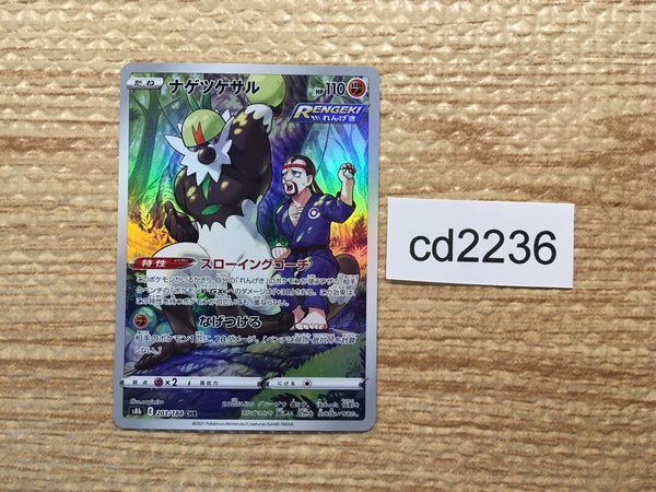 Pokemon Cards – Page 1455 – J4U.co.jp