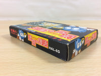 ua6462 Egger Land Meikyuu no Adventures of Lolo BOXED NES Famicom Japan