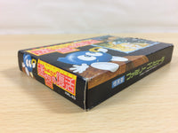 ua6462 Egger Land Meikyuu no Adventures of Lolo BOXED NES Famicom Japan